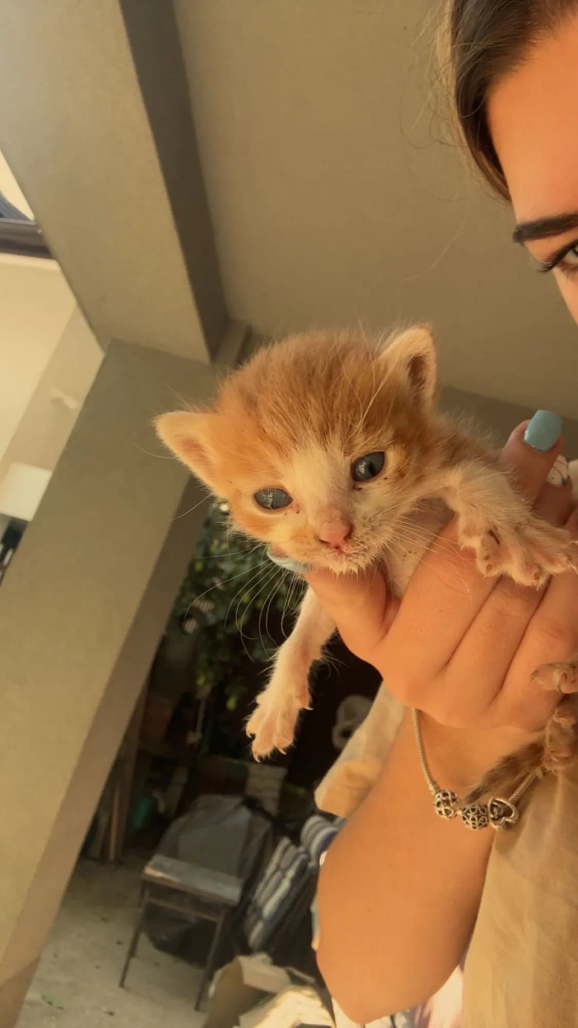 mimi